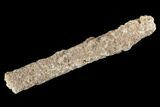 Fulgurite - Petrified Lightning #90355-1